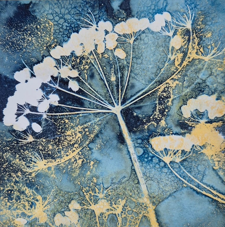Umbellifer Seed Head Cyanotype Card