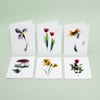 Set of 6 floral note cards for any occassion 