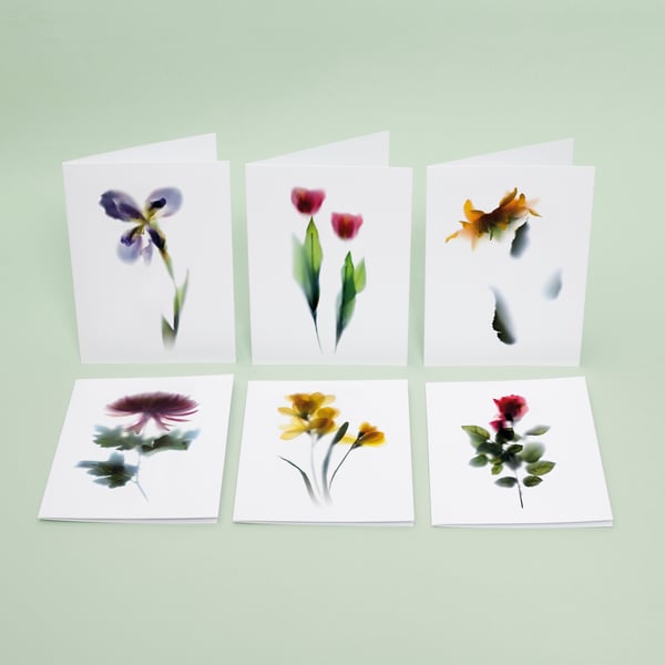 Set of 6 flower greeting cards for any occassion 