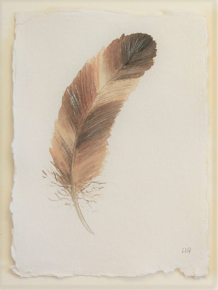 Brown feather watercolour original illustration painting study