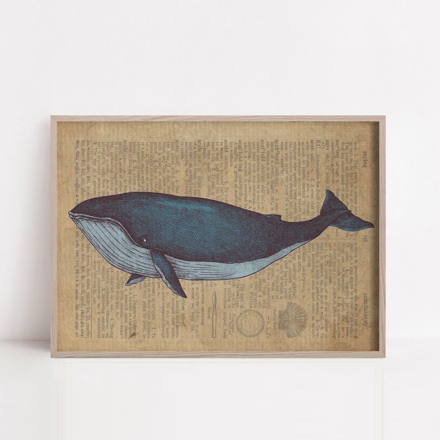 Blue Whale watercolour on old dictionary page texture print