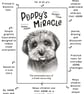 Poppy's Miracle Children's book & journal for 8-12yrs. Signed & personalised - Image 4