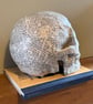 Hamlet Yorik Skull - Image 5