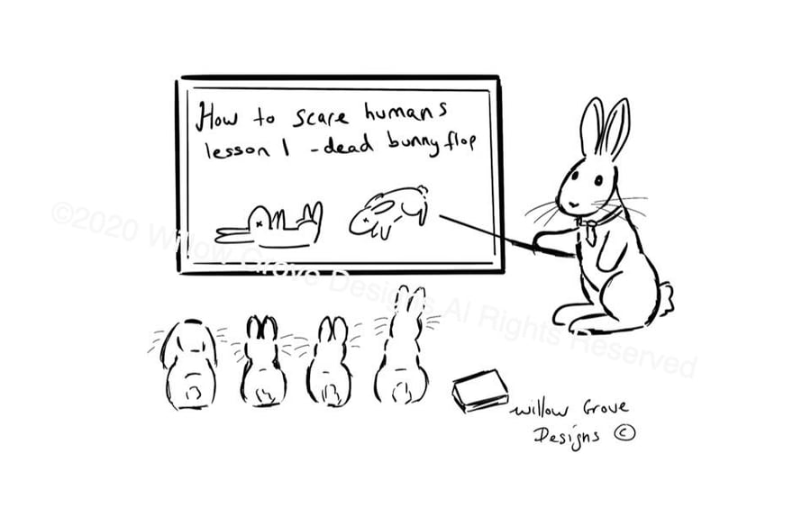 Professor Bunny "Flop" - Art Print