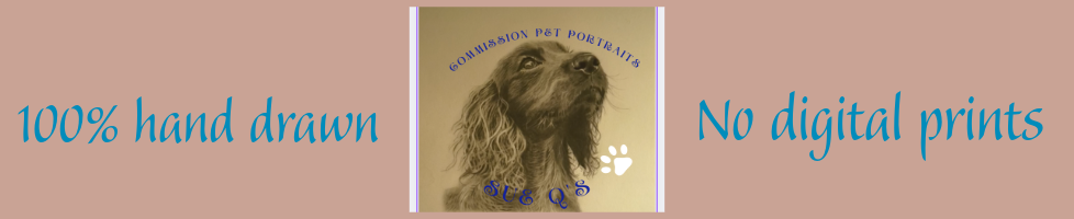 Sue Q's Commission Pet Portraits