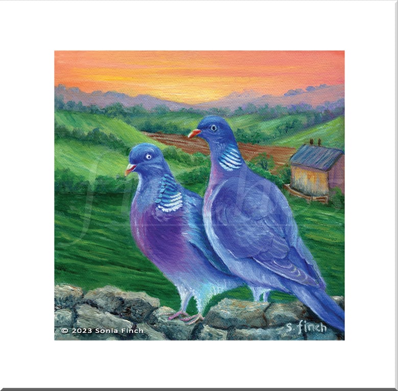 Spirit of Wood Pigeon - Blank Card with Nature Spirit Totem message