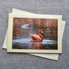Flamingo Large Photographic Card 7" x 5" (18cm x 13cm) Blank