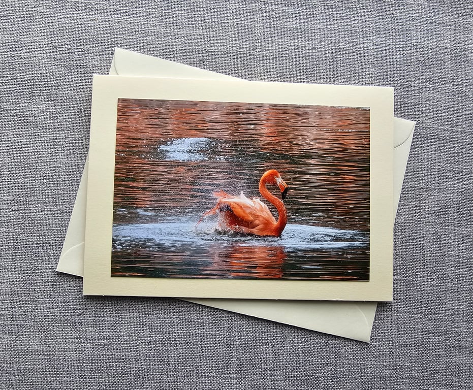 Flamingo Large Photographic Card 7" x 5" (18cm x 13cm) Blank