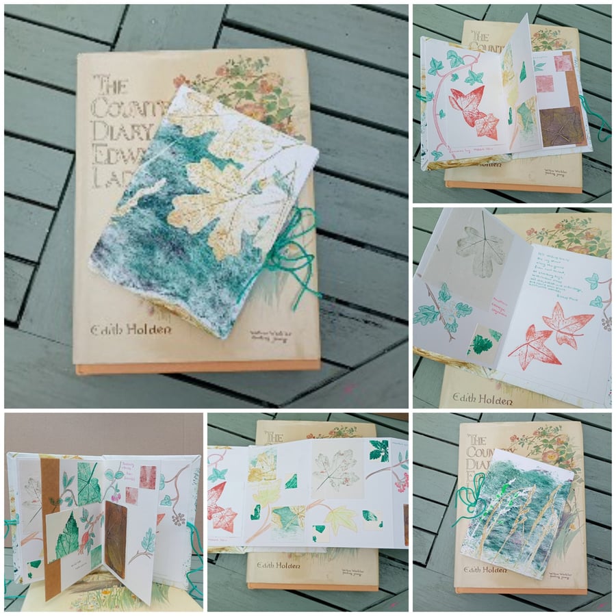 Hedgerows art book for nature lovers