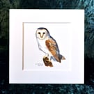 Owl - Original Watercolour Painting