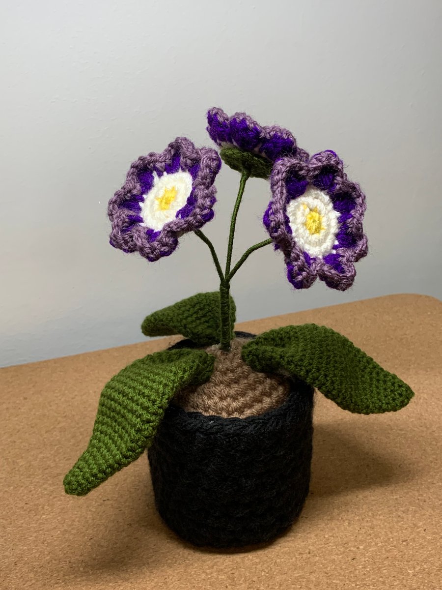 Crochet,cowslip houseplant