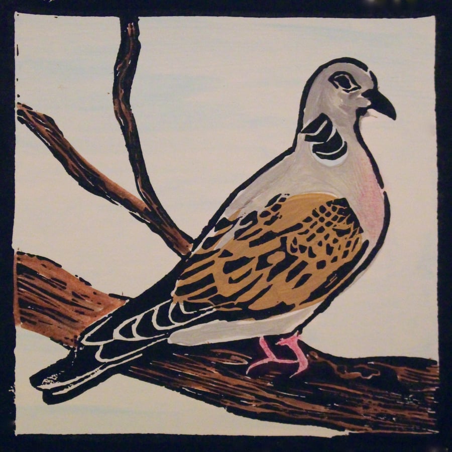 Turtle Dove