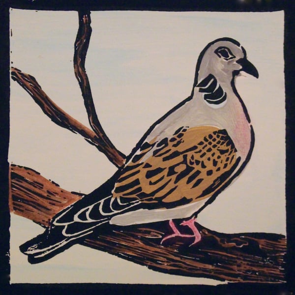 Turtle Dove
