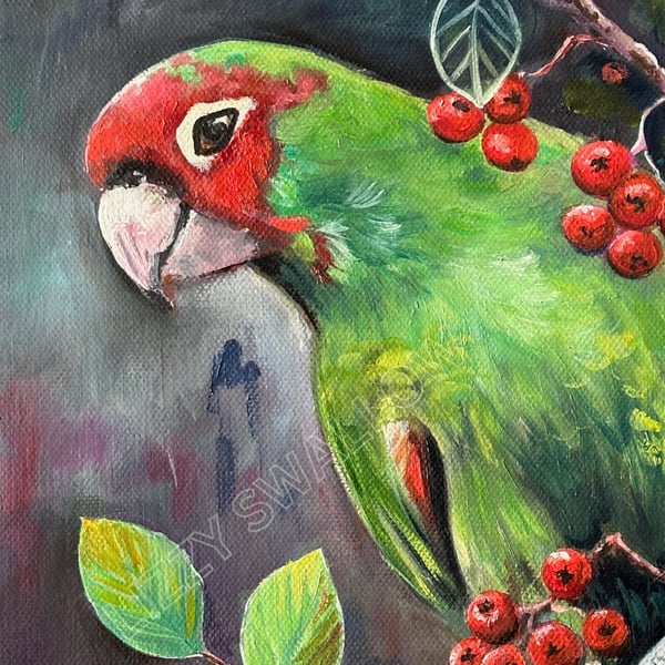 Parrot with Red Berries