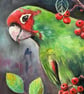 Parrot with Red Berries