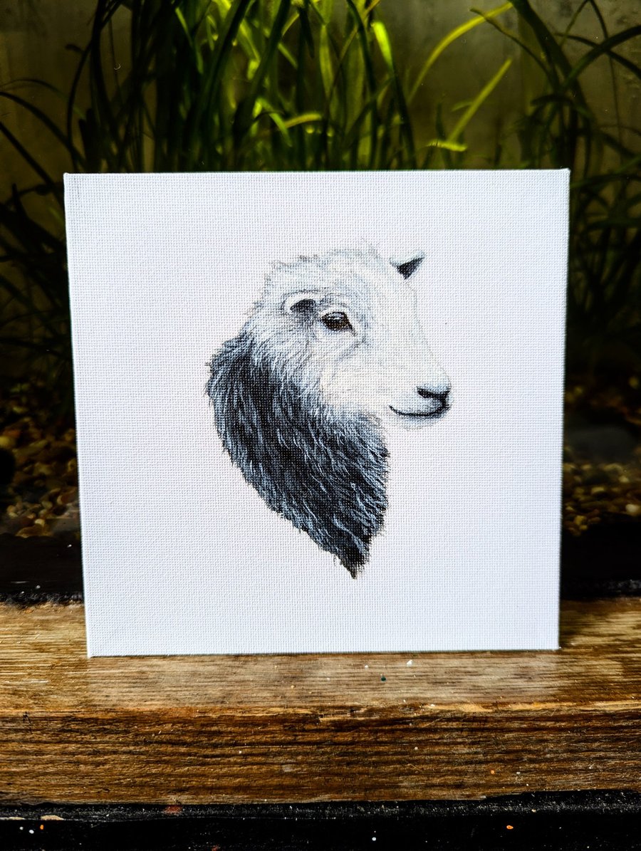 Herdwick Ewe Sheep Acrylic Portrait Painting 