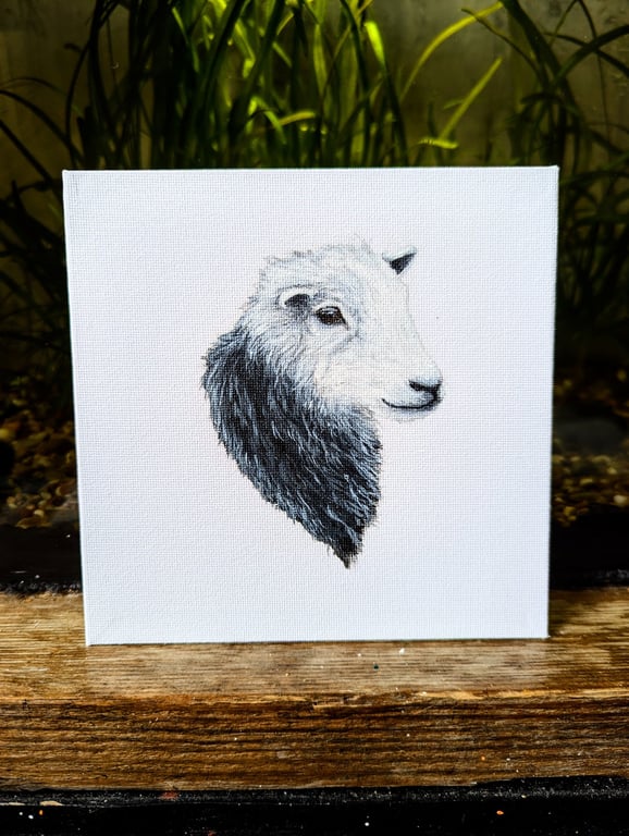 Herdwick Ewe Sheep Acrylic Portrait Painting 