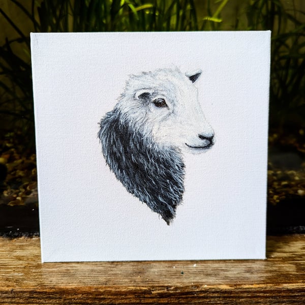 Herdwick Ewe Sheep Acrylic Portrait Painting 