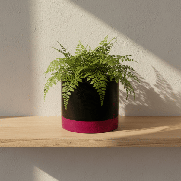 Large 15 cm Round Black and Pink Plant Pot Indoor Planter for Houseplants