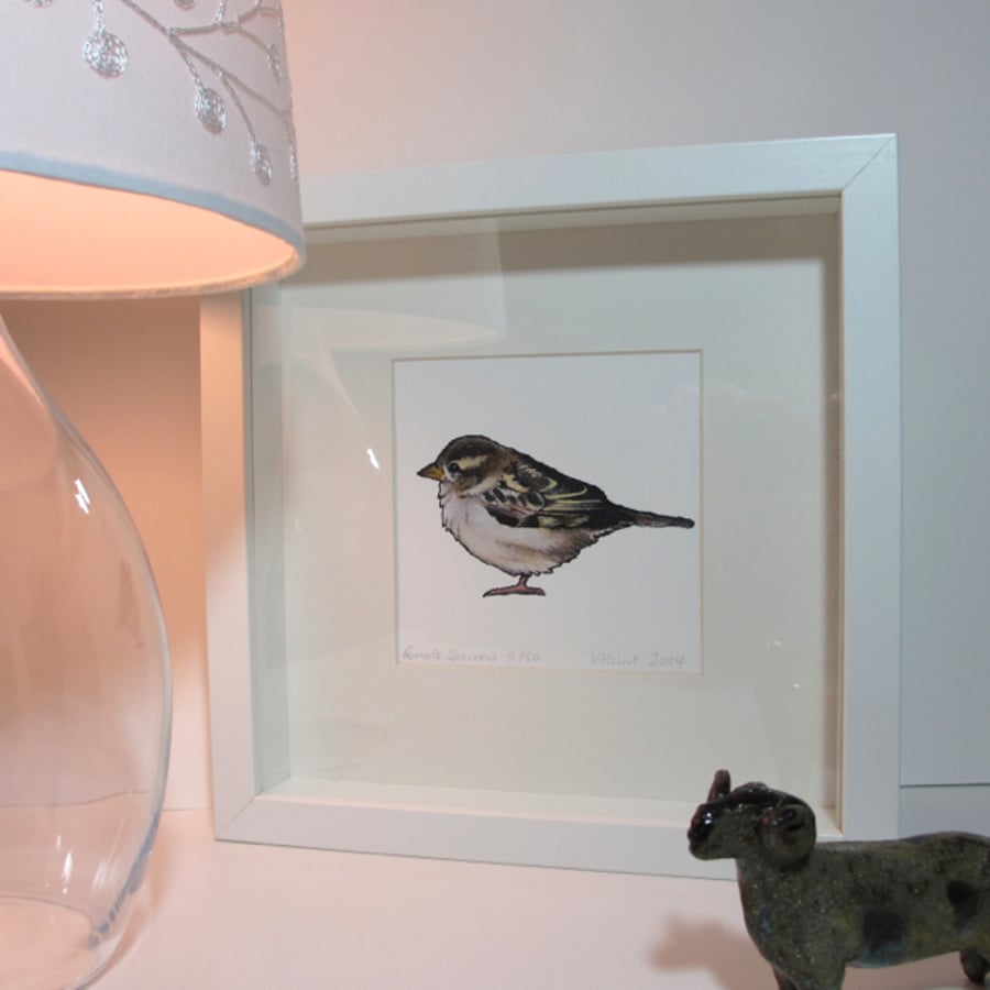 Sparrow (female) Print - Framed and Mounted (can be personalised) 