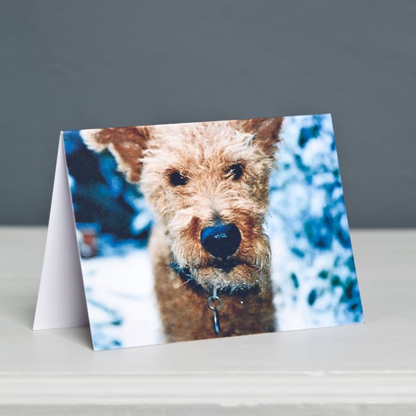 Terrier Christmas Card