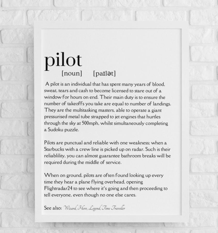 Pilot Definition Print Funny Flight Crew Dictionary Definition