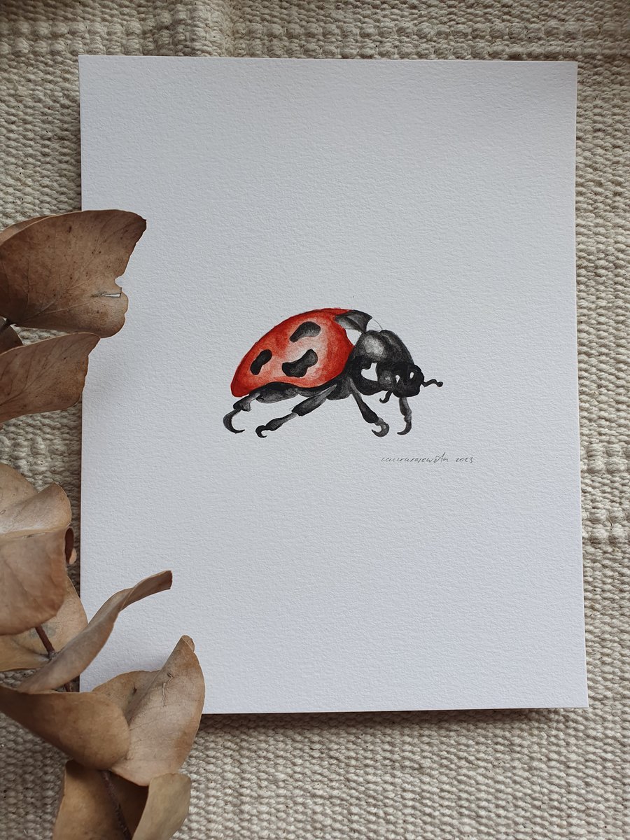 Ladybird original painting. Water colour and pen painting.