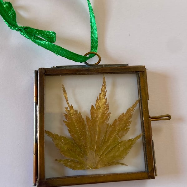 Pressed Acer Leaf Hanging Decoration