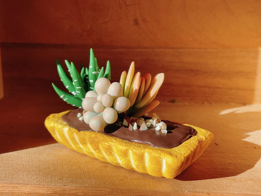 Succulent Plant on Chocolate Tart-Square (Made to order)