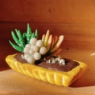 Succulent Plant on Chocolate Tart-Square (Made to order)
