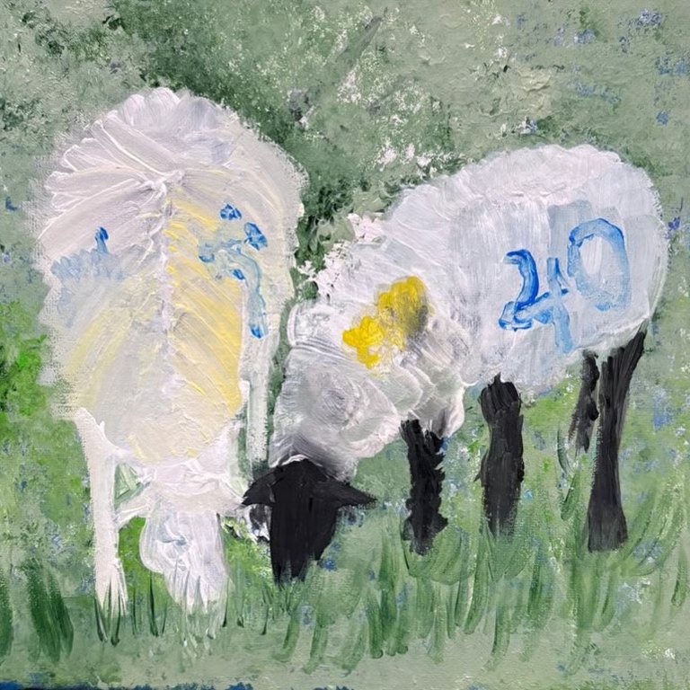 Sheep A4 Fine Art Print