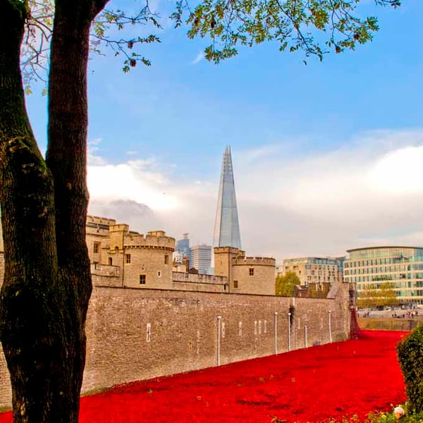 Tower Of London Poppies Red Poppy England Photograph Print