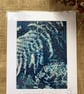 Wet Cyanotype Fern Mount - Image 3
