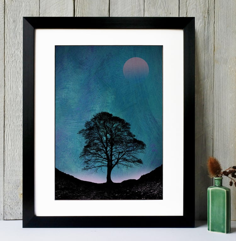 Dusk At Sycamore Gap Fine Art Print