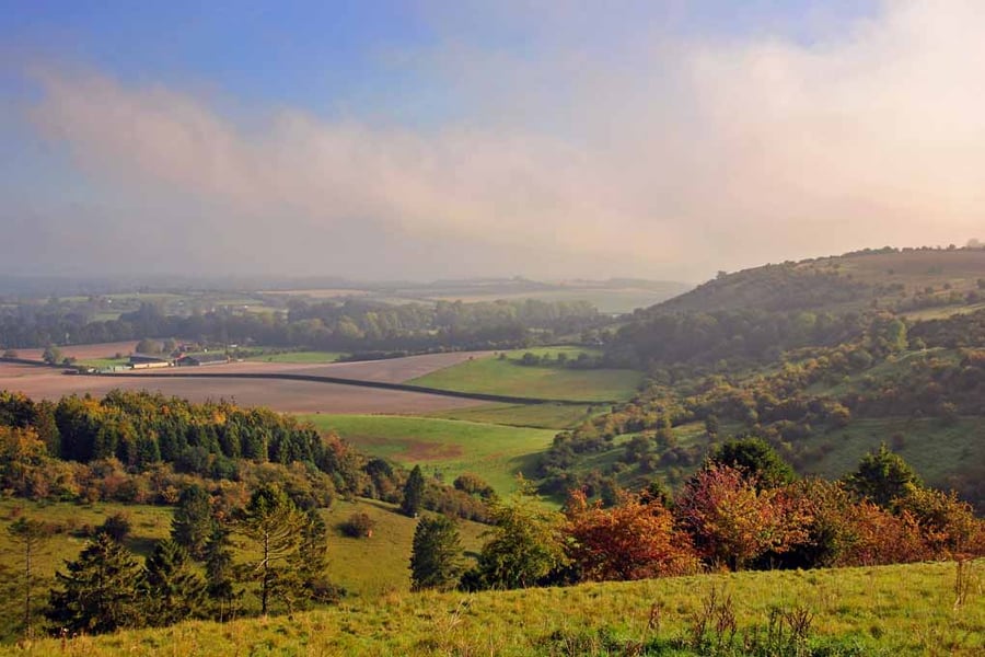 Wayfarers Walk North Wessex Downs Hampshire UK Photograph Print