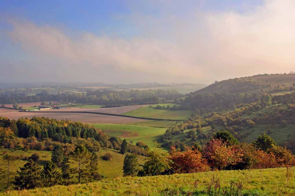 Wayfarers Walk North Wessex Downs Hampshire UK Photograph Print