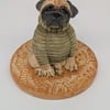 Pug in Olive Woolly Jumper