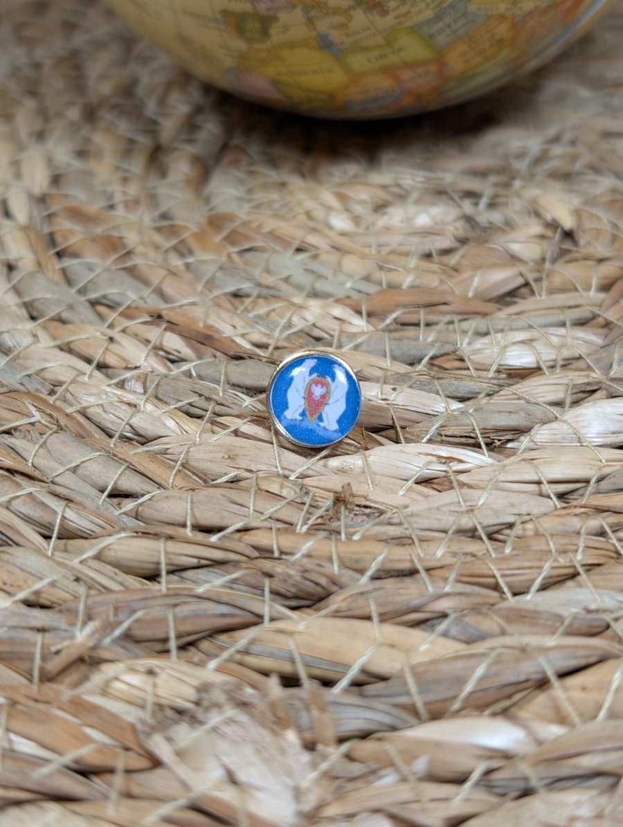 Novaya Zemlya Flag Map Pin – Russian Arctic Travel Map Push Pin for Wooden Maps