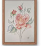 Pale Pink Vintage Rose Watercolour – Limited Edition A4 Print - Image 4