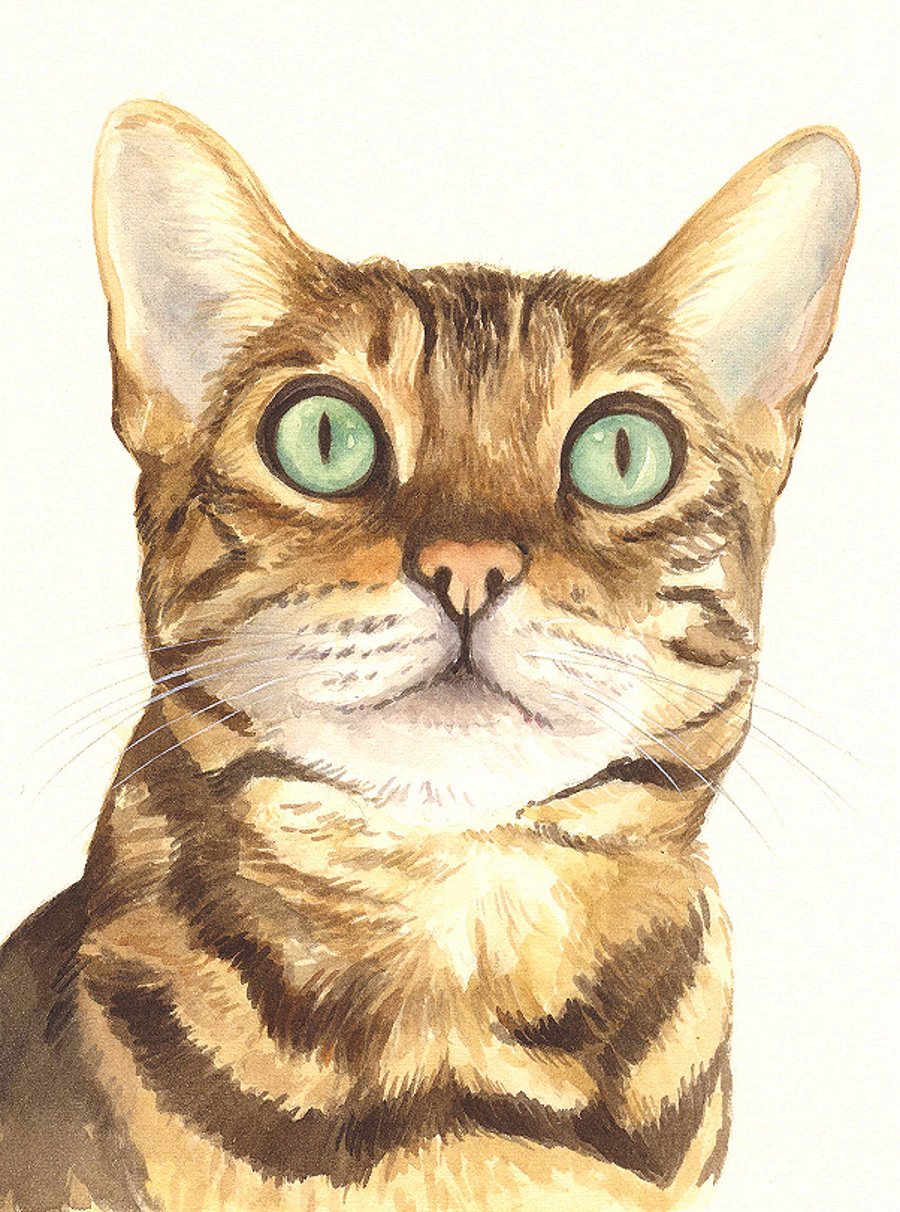 Custom Pet Portrait - 8 x 6 inches, watercolour