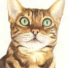 Custom Pet Portrait - 8 x 6 inches, watercolour