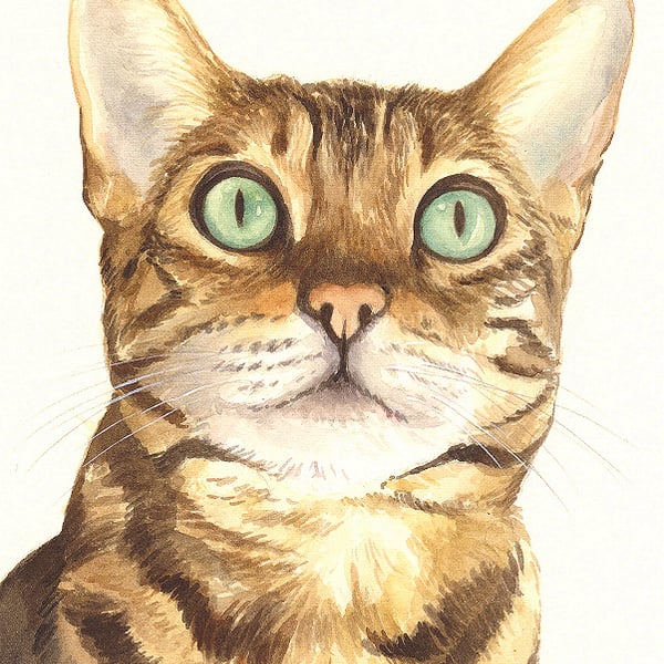 Custom Pet Portrait - 8 x 6 inches, watercolour
