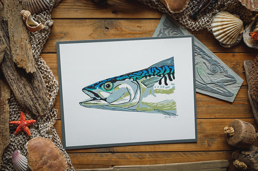 Colourful Mackerel - A3 - giclee
