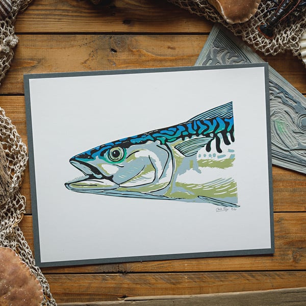 Colourful Mackerel - A3 - giclee