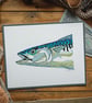Colourful Mackerel - A3 - giclee