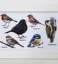 British Birds - Picture in Three Available Sizes with a Black or White Frame - Image 5