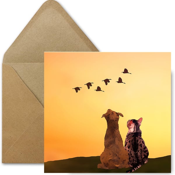 Cat and Dog, Greeting, Birthday, Card