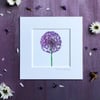 'Allium' 5" x 5" Mounted Print