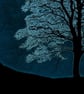 Ghost Tree at Sycamore Gap Fine Art Print - Image 2