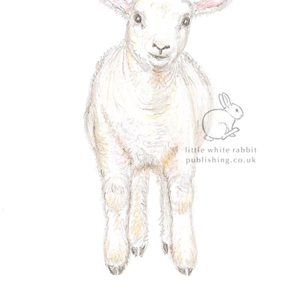 Lamb Jumping - Birthday Card